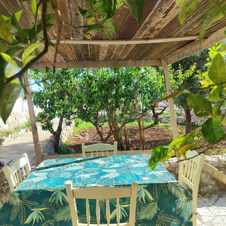 Musa Balbisiana Casa Citrus - Casa con 2 Camere da Letto - 11