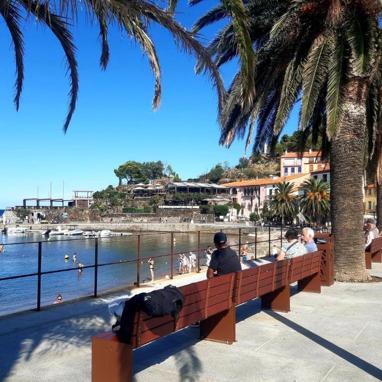 T3 de CHARME a 20 m de la plage centre village - Apartamento - 41