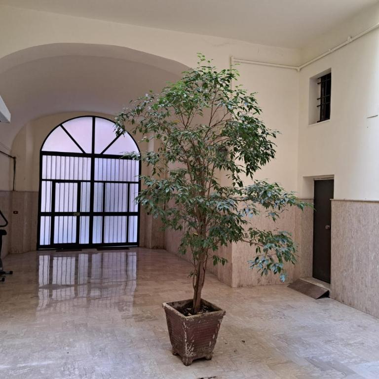 Napoli Museo Metrò - Appartamento con 3 Camere da Letto - 12