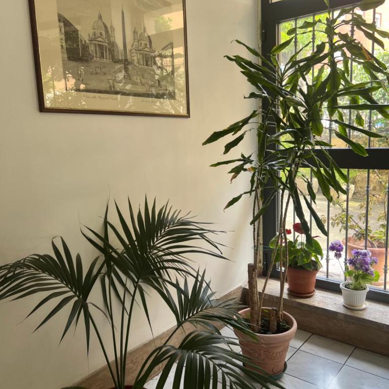 Living Aurelia - San Pietro - Appartamento con 2 Camere da Letto e Balcone - 34