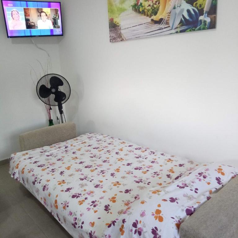 Villa Punta Grossa 1 - Casa Vacanze - 45