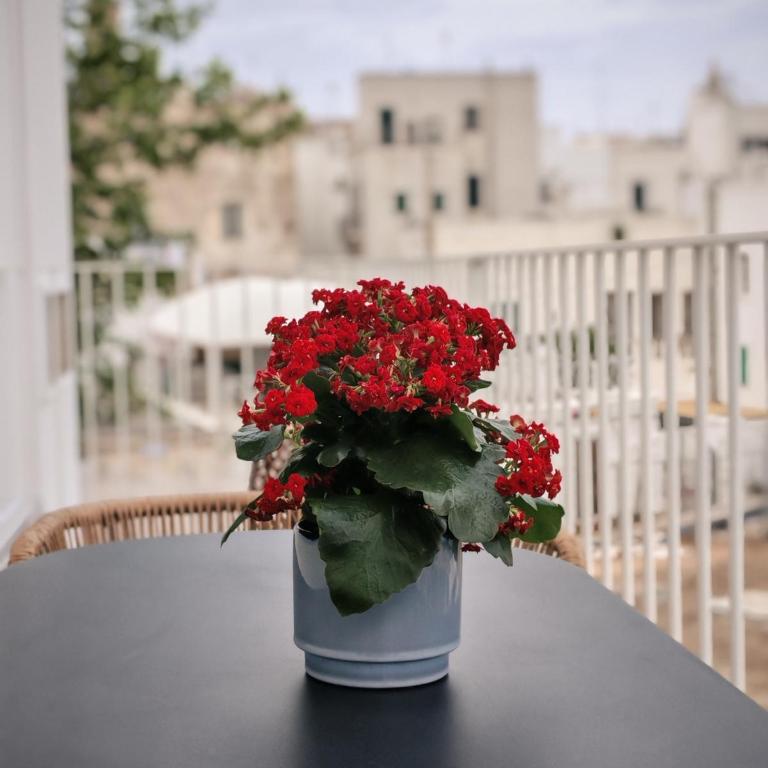 Terrazza Blu di Millo - Appartamento con 1 Camera da Letto, Vista Mare e Terrazza - 90