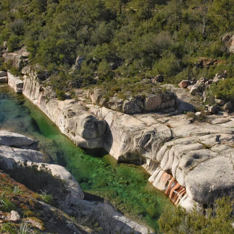 Appartement Pascialella, 2 pers, piscine, vue mer - Maison 1 Chambre - 16