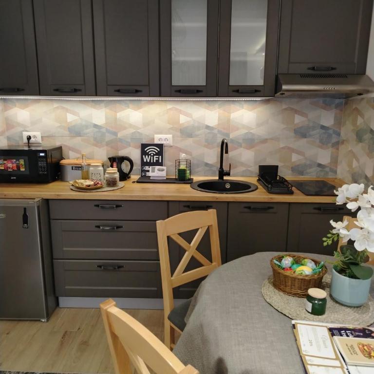 Apartman Amber Vrnjačka Banja - Appartement 1 Chambre - 38