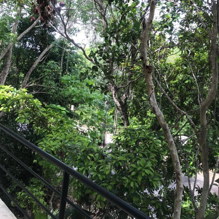 Casa Maya - Three-Bedroom Villa - 20