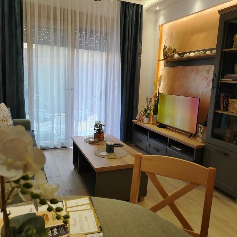 Apartman Amber Vrnjačka Banja - Appartement 1 Chambre - 40