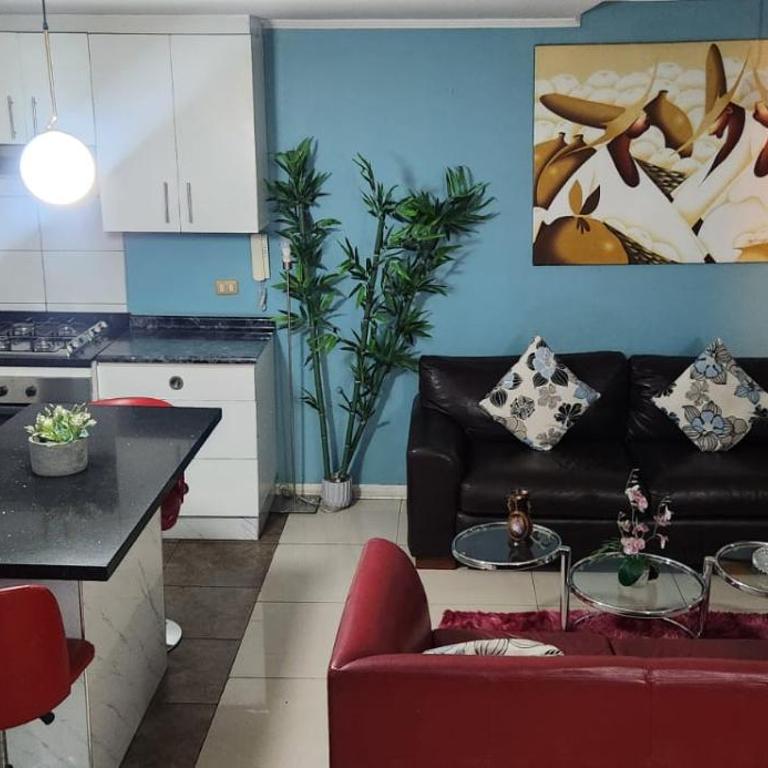 Corazón de Santiago - Two-Bedroom Apartment - 13