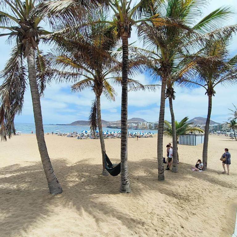 Canteras Canary Beach - Apartamento de 1 dormitorio - 1