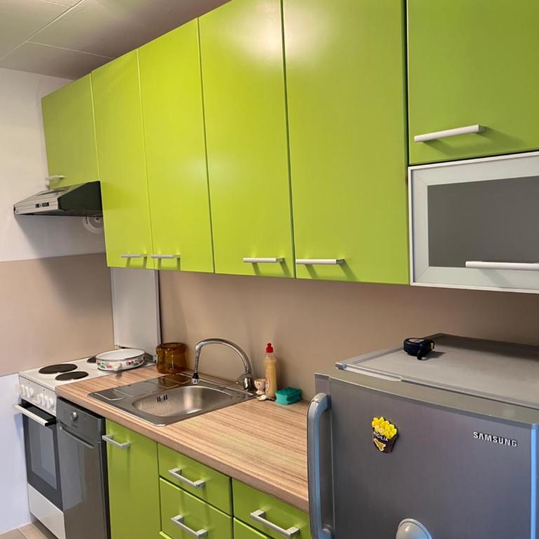 Elena Borik Centar - Apartman sa 1 Spavaćom Sobom - 8