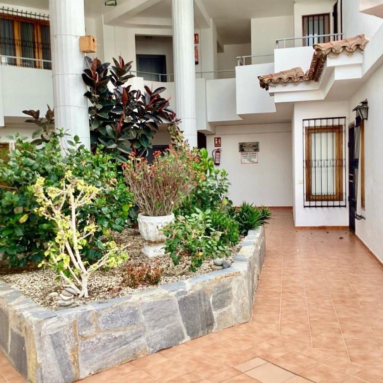 Los cristianos Vistas al mar y cerca de la playa - Apartamento - 35