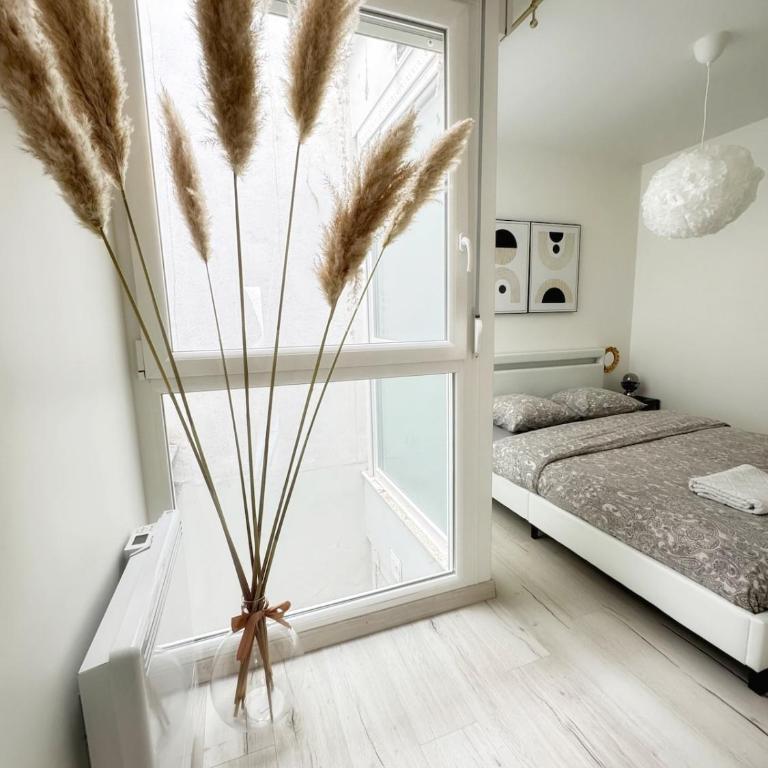 Rare - Appartement paisible proche Cathédrale - Appartement 1 Chambre - 5