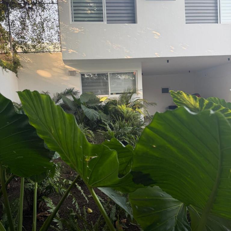 Casa Hevea near Akron stadium - Villa - 56