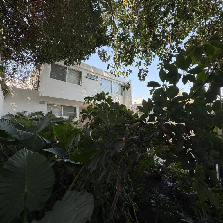 Casa Hevea near Akron stadium - Villa - 61