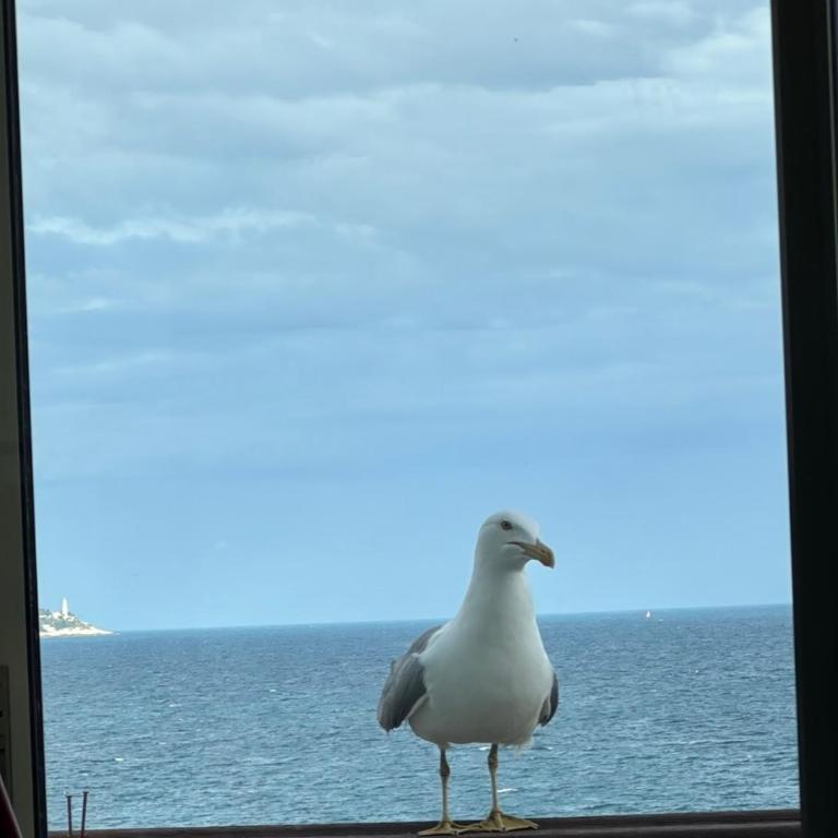 Beauty Victoria - Appartamento con 1 Camera da Letto, Vista Mare e Terrazza - 10