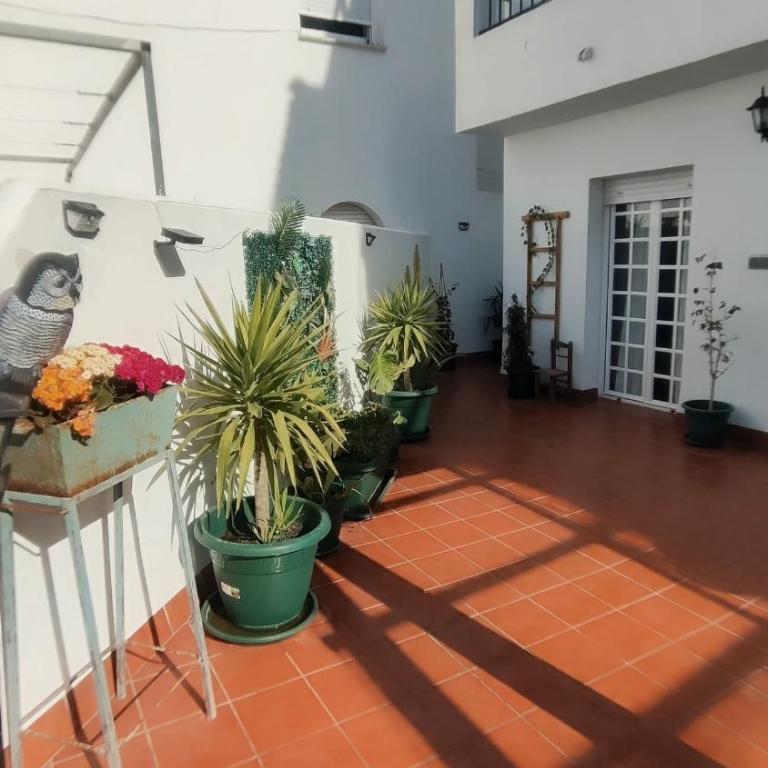 PISO AURORA - Apartamento de 1 dormitorio - 14