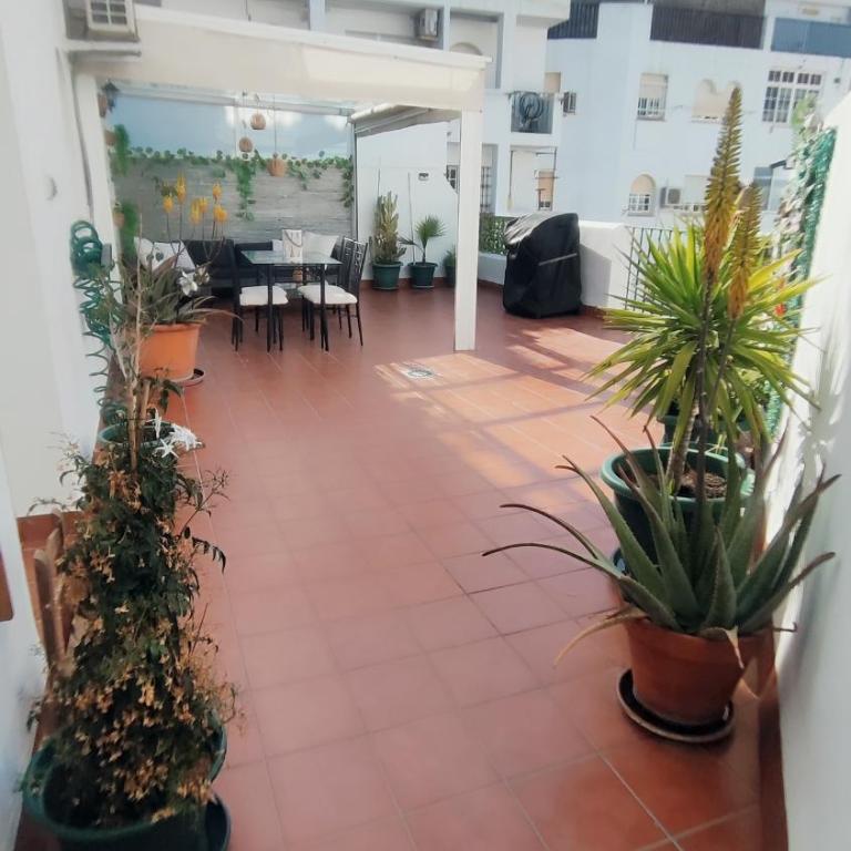 PISO AURORA - Apartamento de 1 dormitorio - 6