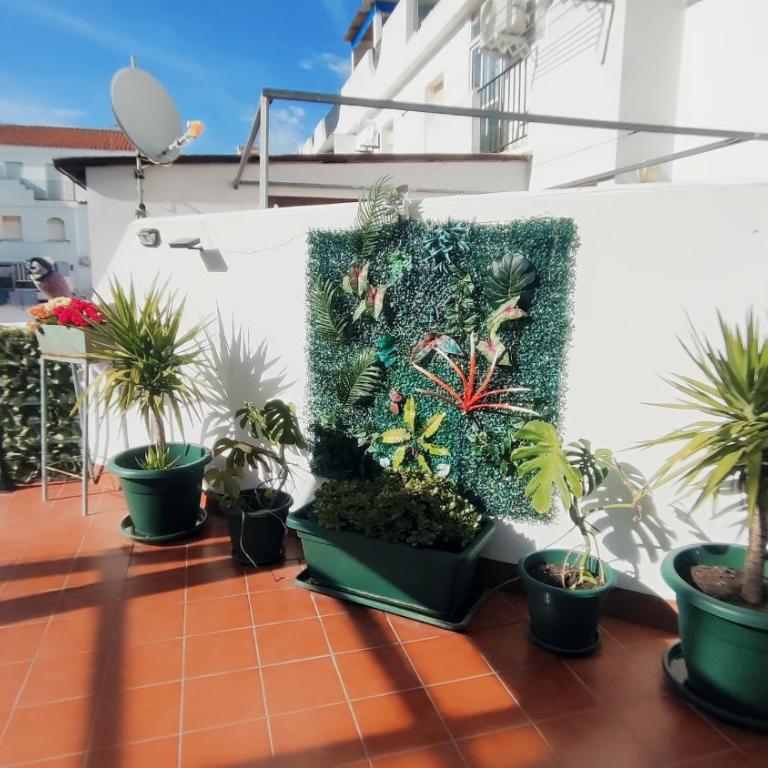 PISO AURORA - Apartamento de 1 dormitorio - 13