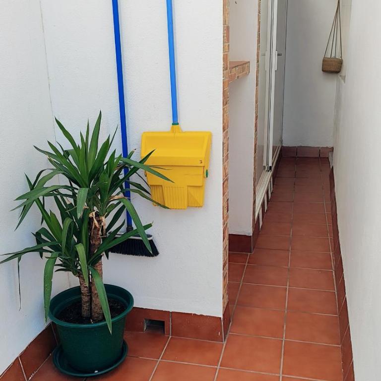 PISO AURORA - Apartamento de 1 dormitorio - 16