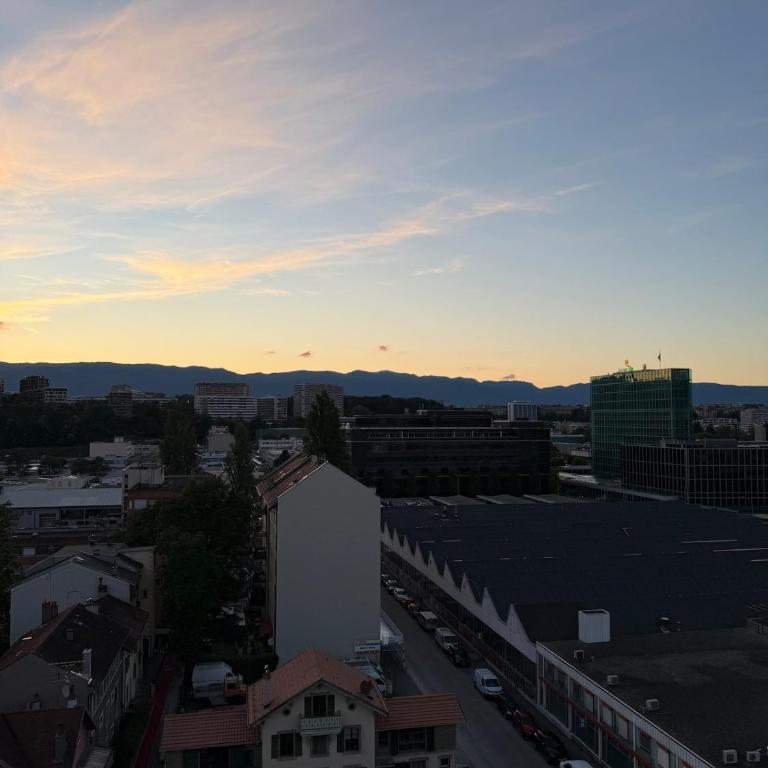 Spacious apartment in Geneva - Appartement 4 Chambres de Luxe - 2