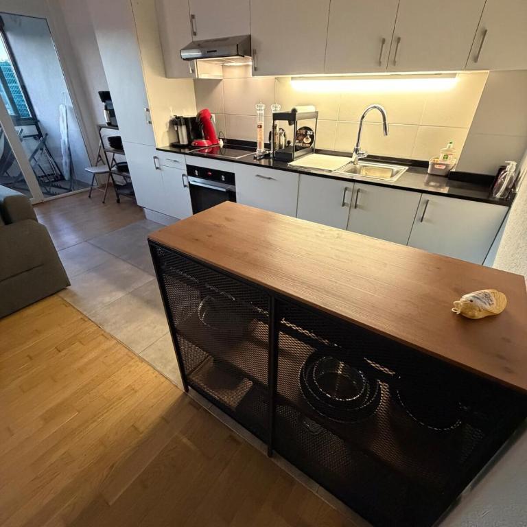 Spacious apartment in Geneva - Appartement 4 Chambres de Luxe - 6