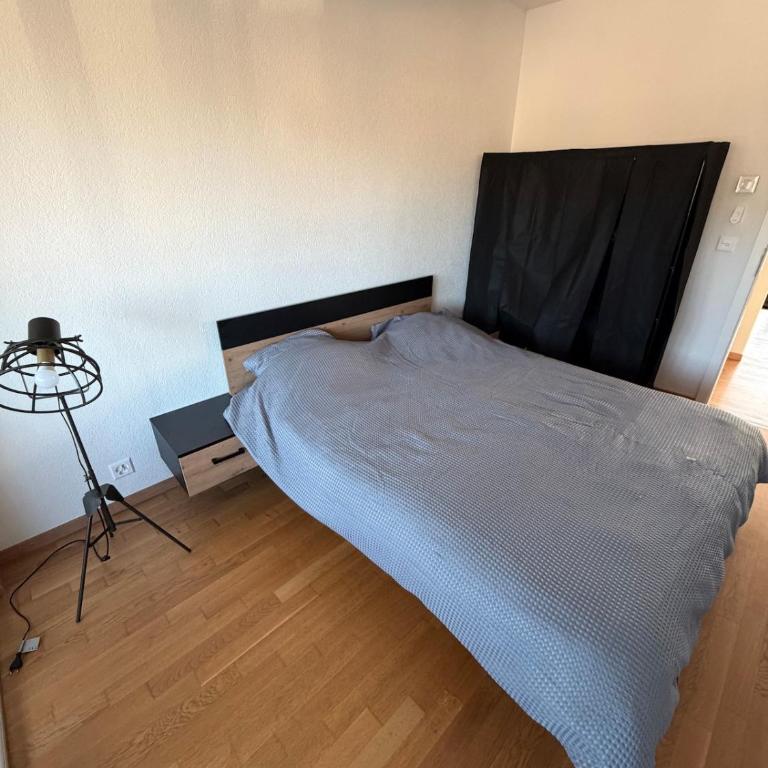 Spacious apartment in Geneva - Appartement 4 Chambres de Luxe - 7
