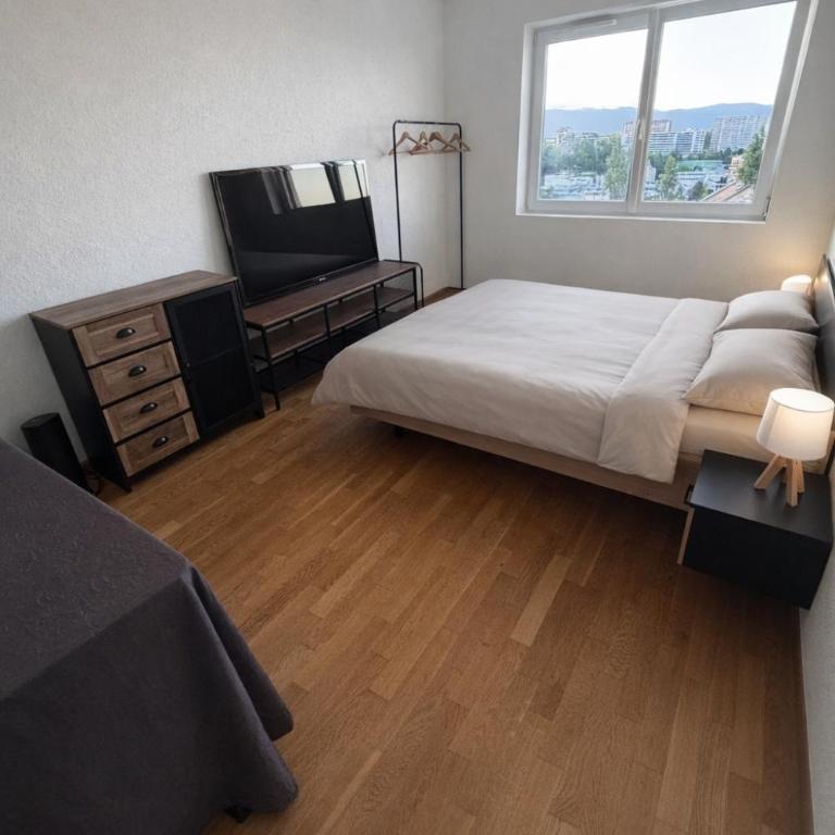 Spacious apartment in Geneva - Appartement 4 Chambres de Luxe - 9