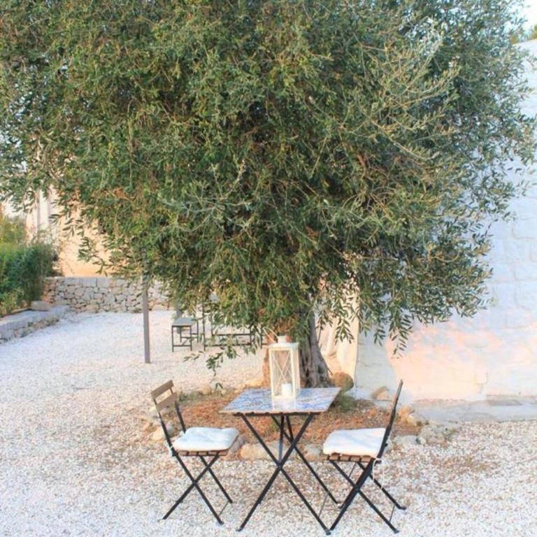 Trullo MA' - Casa con 1 Camera da Letto - 16
