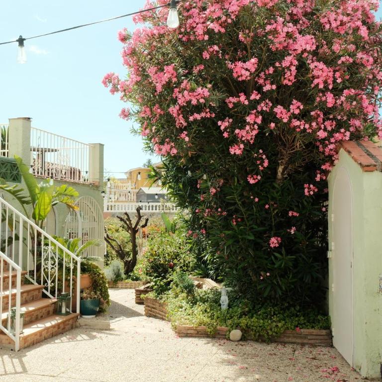 Authentic Andalusian Boho Villa - Pool - Garden-BBQ- 7 Guests - Villa de 3 dormitorios - 1
