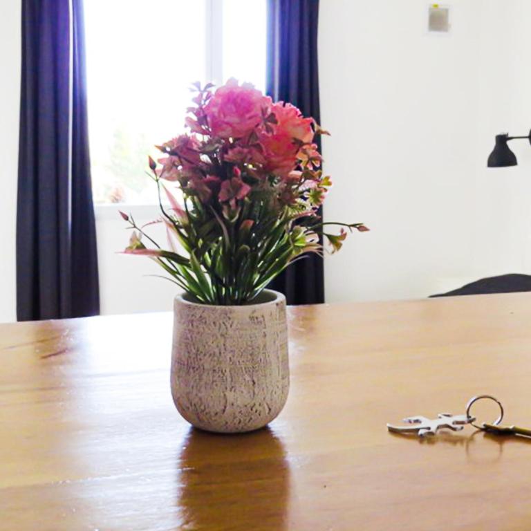Disfruta Mucho !!! - Apartamento de 1 dormitorio - 1