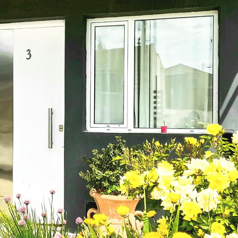 Disfruta Mucho !!! - Apartamento de 1 dormitorio - 17