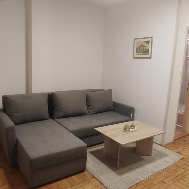 Detelina - One-Bedroom Apartment - 8