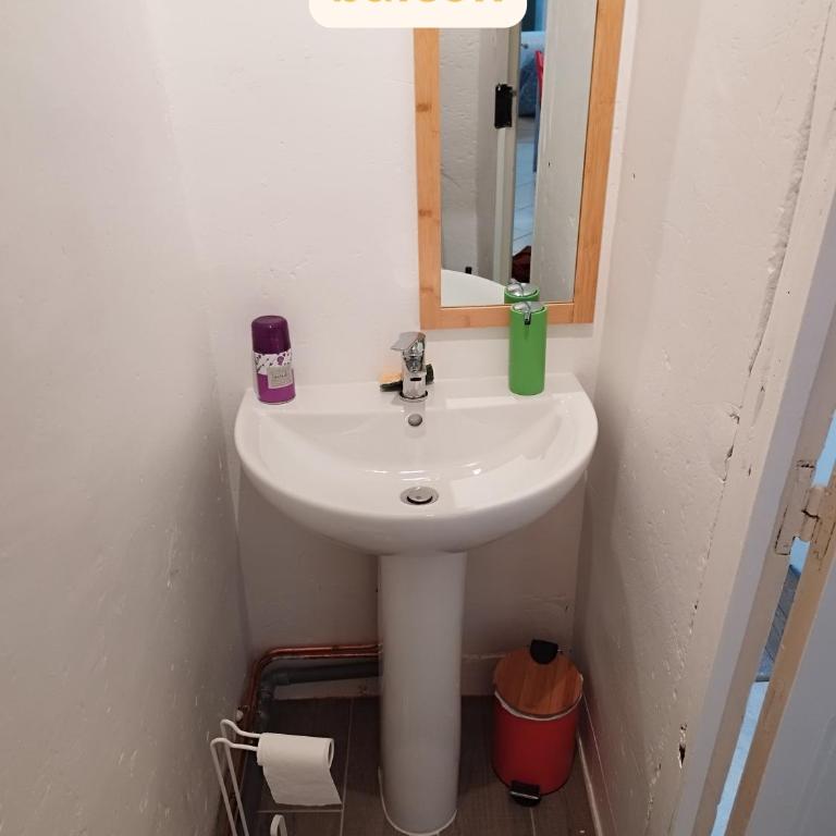 Par Saint Georges ! - Appartement 2 Chambres avec Balcon - 4