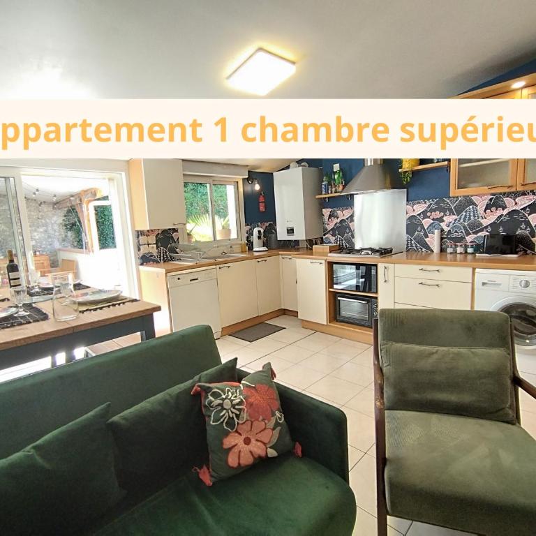 Par Saint Georges ! - Appartement 1 Chambre Supérieur - 5