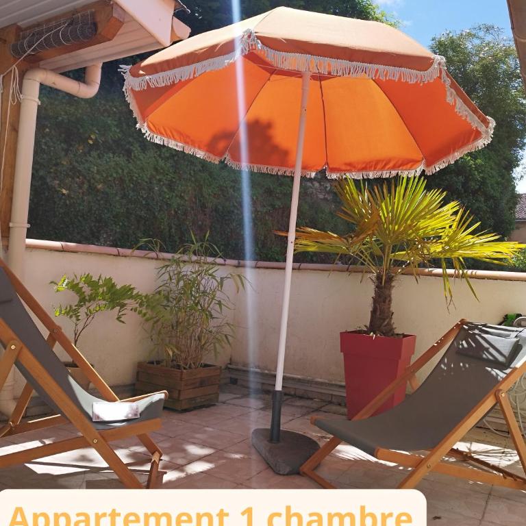 Par Saint Georges ! - Appartement 1 Chambre Supérieur - 7