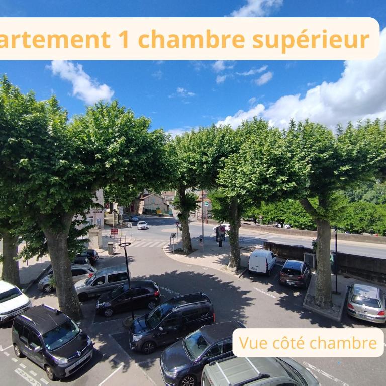 Par Saint Georges ! - Appartement 1 Chambre Supérieur - 11