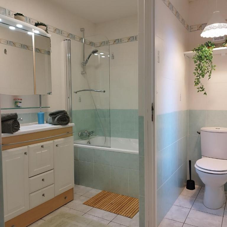 Par Saint Georges ! - Appartement Premier 1 Chambre - 9