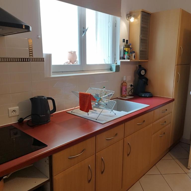 Par Saint Georges ! - Appartement Premier 1 Chambre - 5