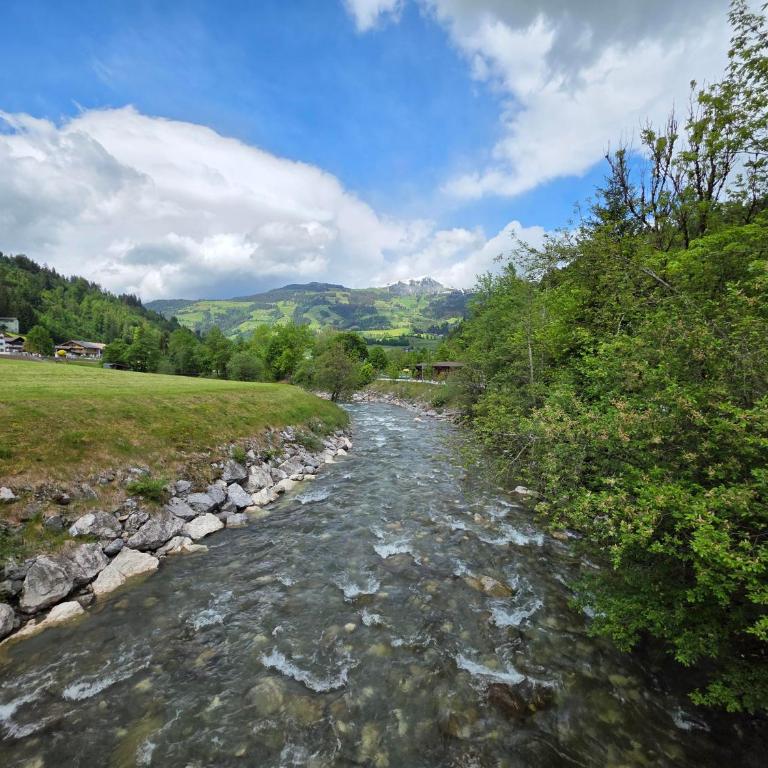 Feines Alpennest - Apartment mit 1 Schlafzimmer und Dusche - 58