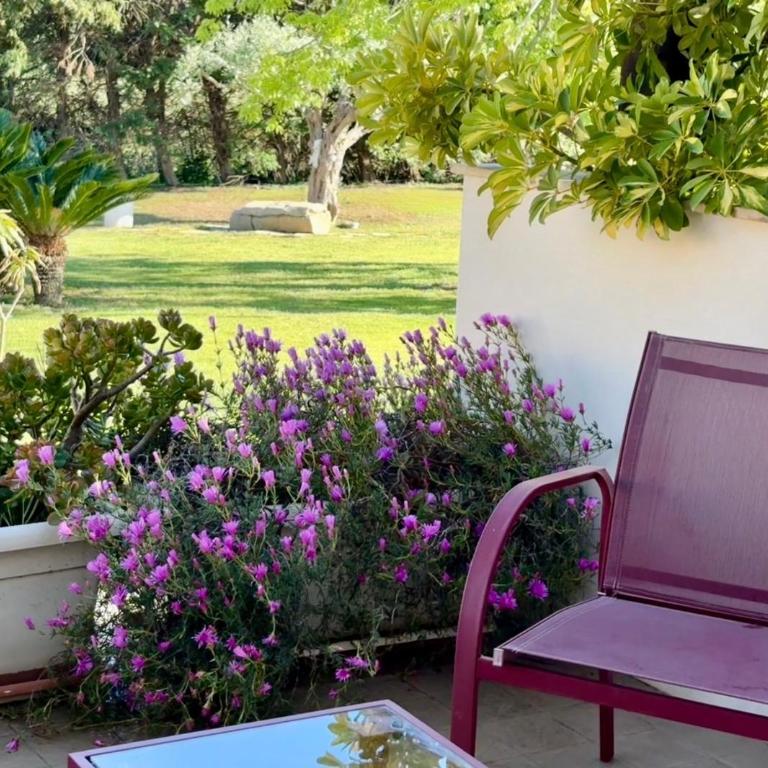 Torre Dantona Country Suites - One-Bedroom Apartment with Garden View - 3