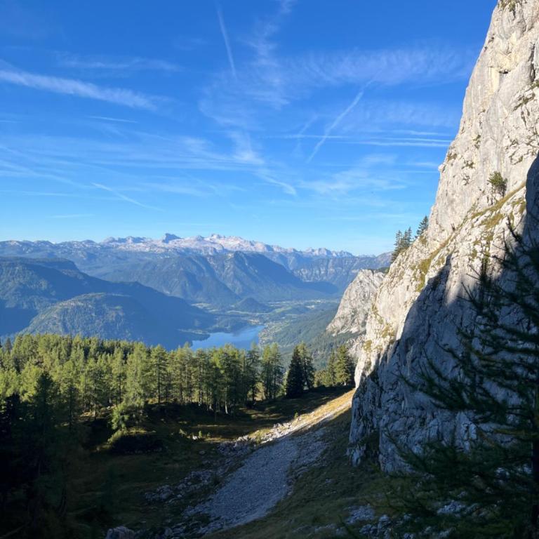 Ferienwohnung Gaiswinkler - Appartement Familial 1 Chambre - 9