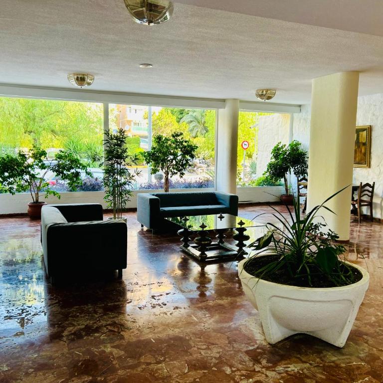 Paloma apt - Apartamento de 1 dormitorio - 13