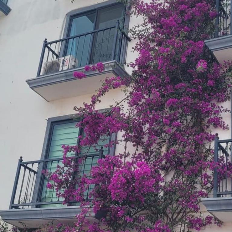 Midnight & Mango - The Crown Jewel Studio - Apartamento de 1 dormitorio - 24