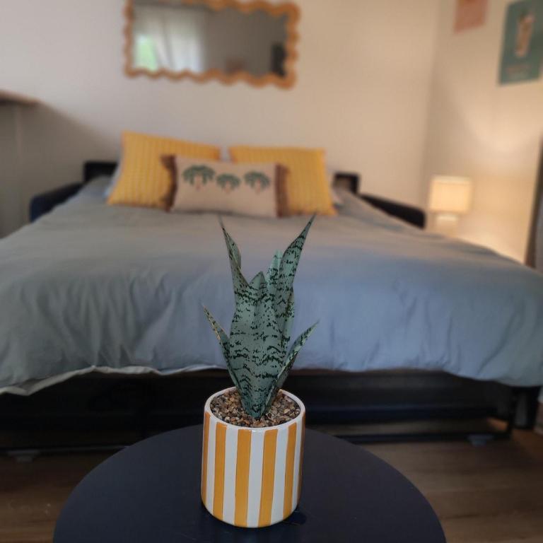 Studio climatisé avec cour à 15min du coeur de Nîmes - Studio - 10