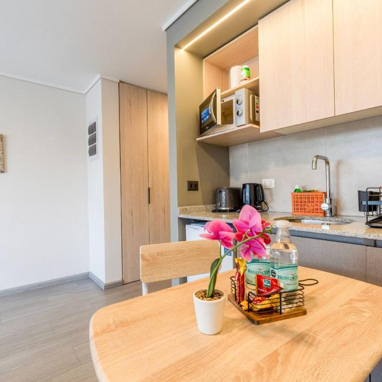 VR - Studio 131WOOD frente al Parque O'Higgins - Metro Rondizzoni - Movistar Arena - Apartamento de 1 dormitorio - 7