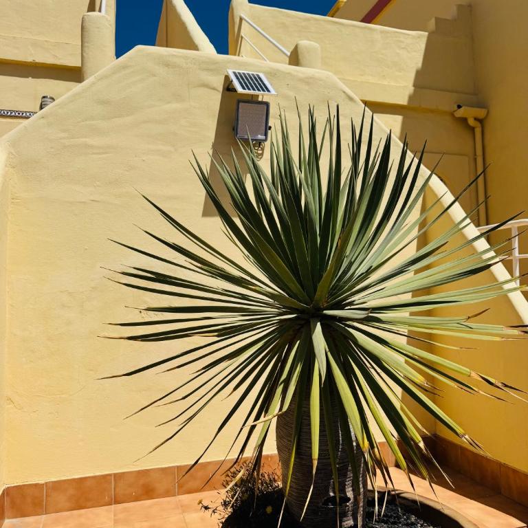 Casa Happyplace - Rooftop - Vue mer - Sunset - Three-Bedroom House - 44