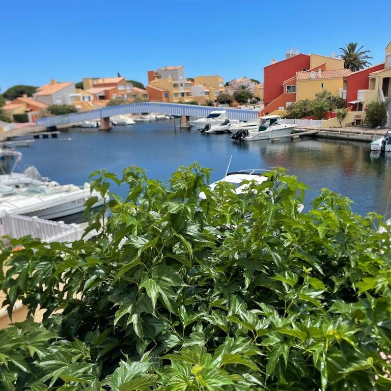 Appartement sur la marina - Appartement 1 Chambre - 3