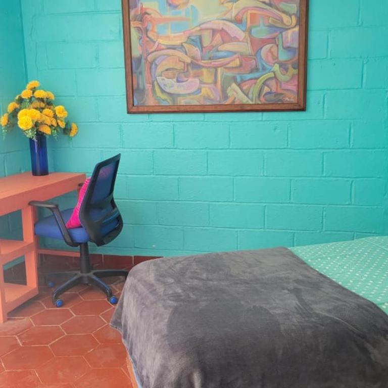 Oceanview Old Town 6 blocks to the beach and Malecon - Apartamento de 2 dormitorios - 16