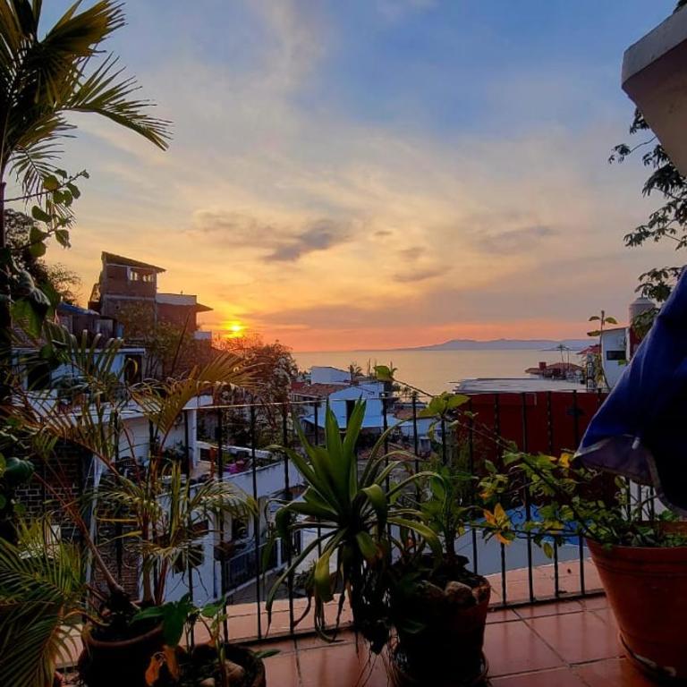 Oceanview Old Town 6 blocks to the beach and Malecon - Apartamento de 2 dormitorios - 15