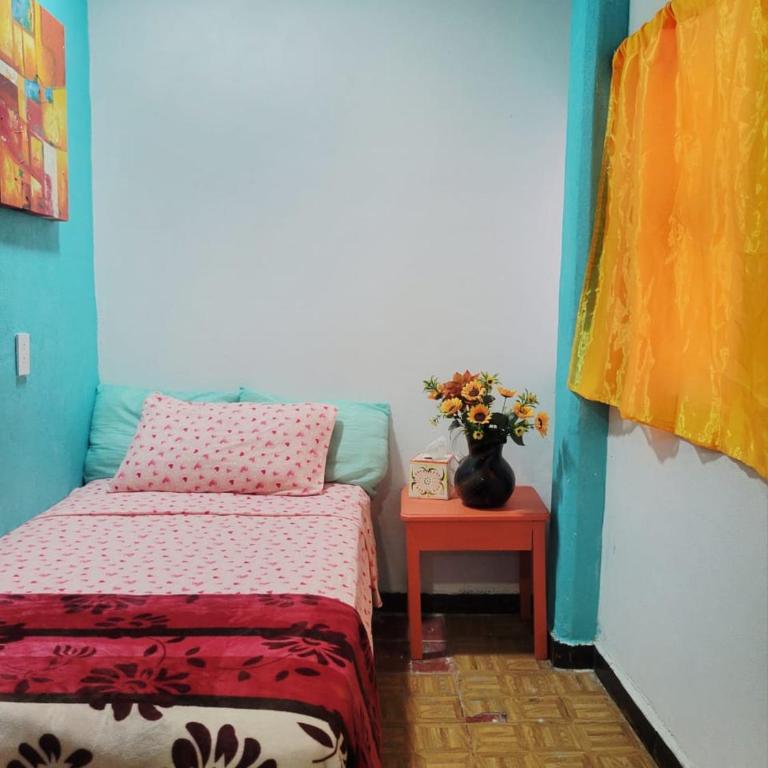 Oceanview Old Town 6 blocks to the beach and Malecon - Apartamento de 3 dormitorios - 17
