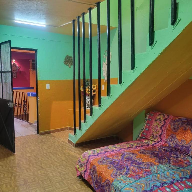 Oceanview Old Town 6 blocks to the beach and Malecon - Apartamento de 3 dormitorios - 21